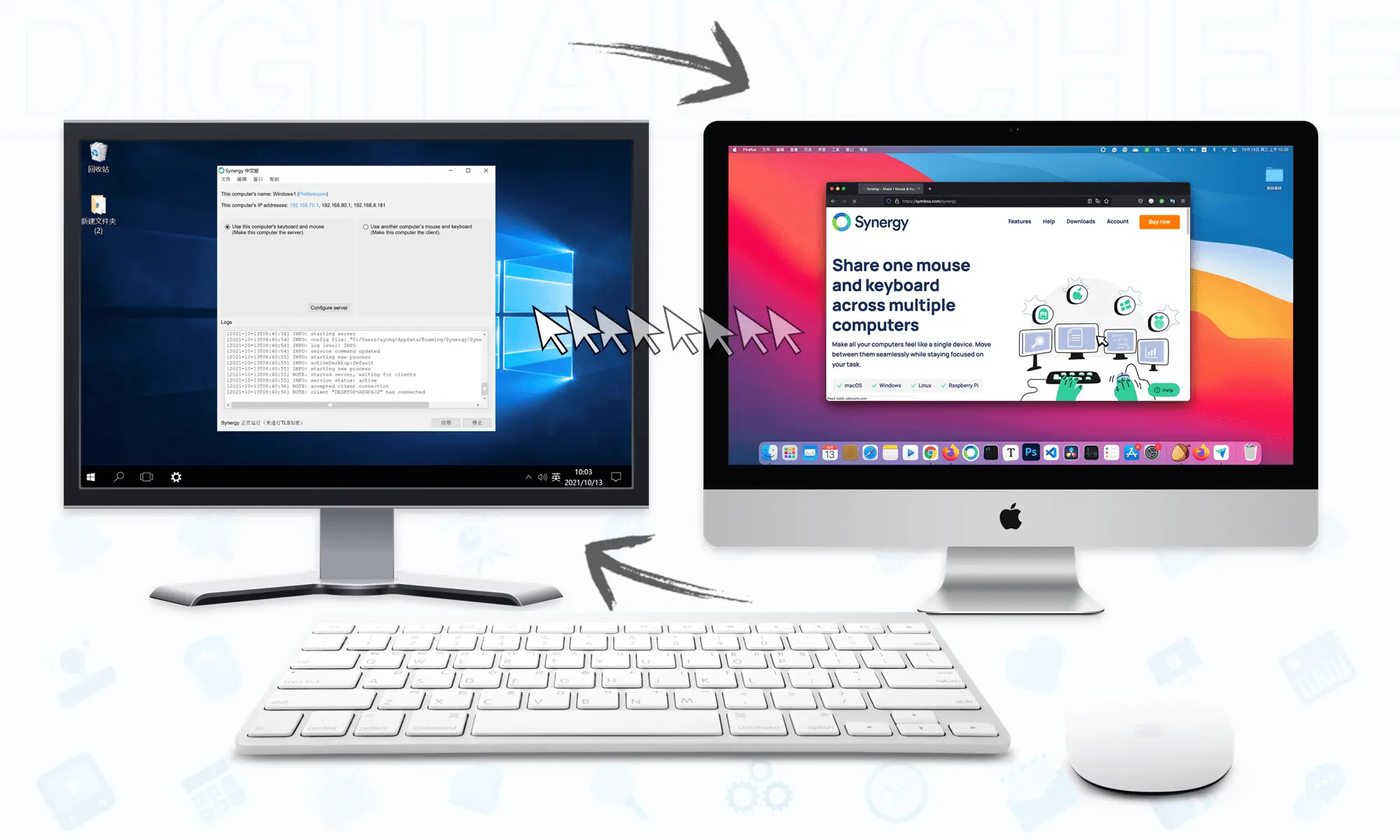 Synergy .webp